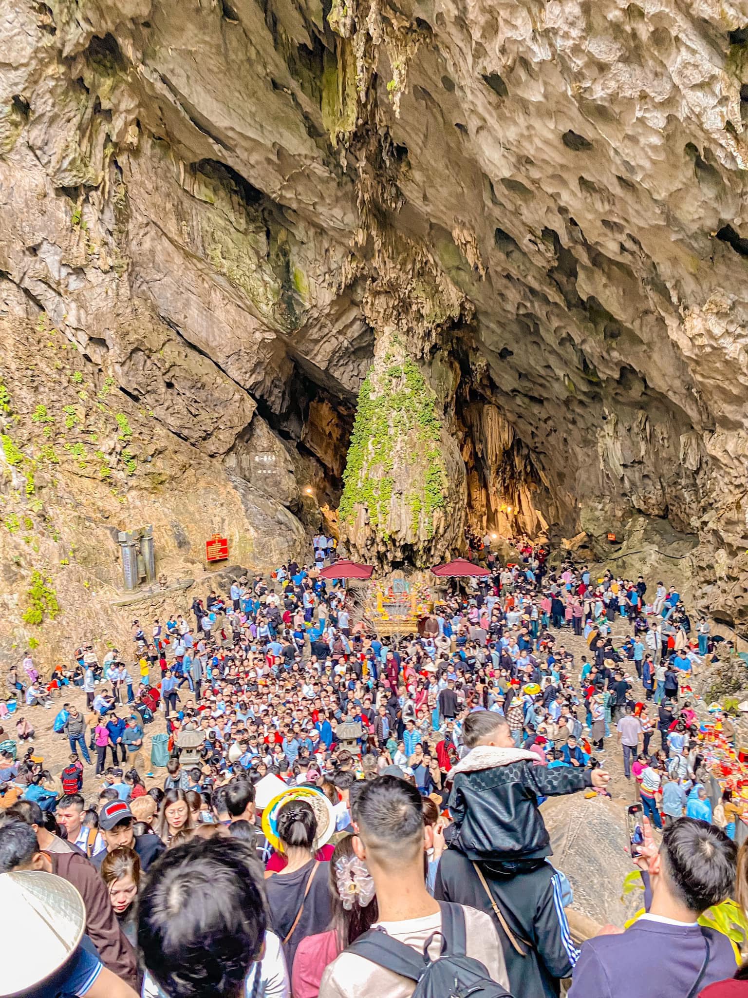 493131752 1289134336548847 7131236502315402248 n