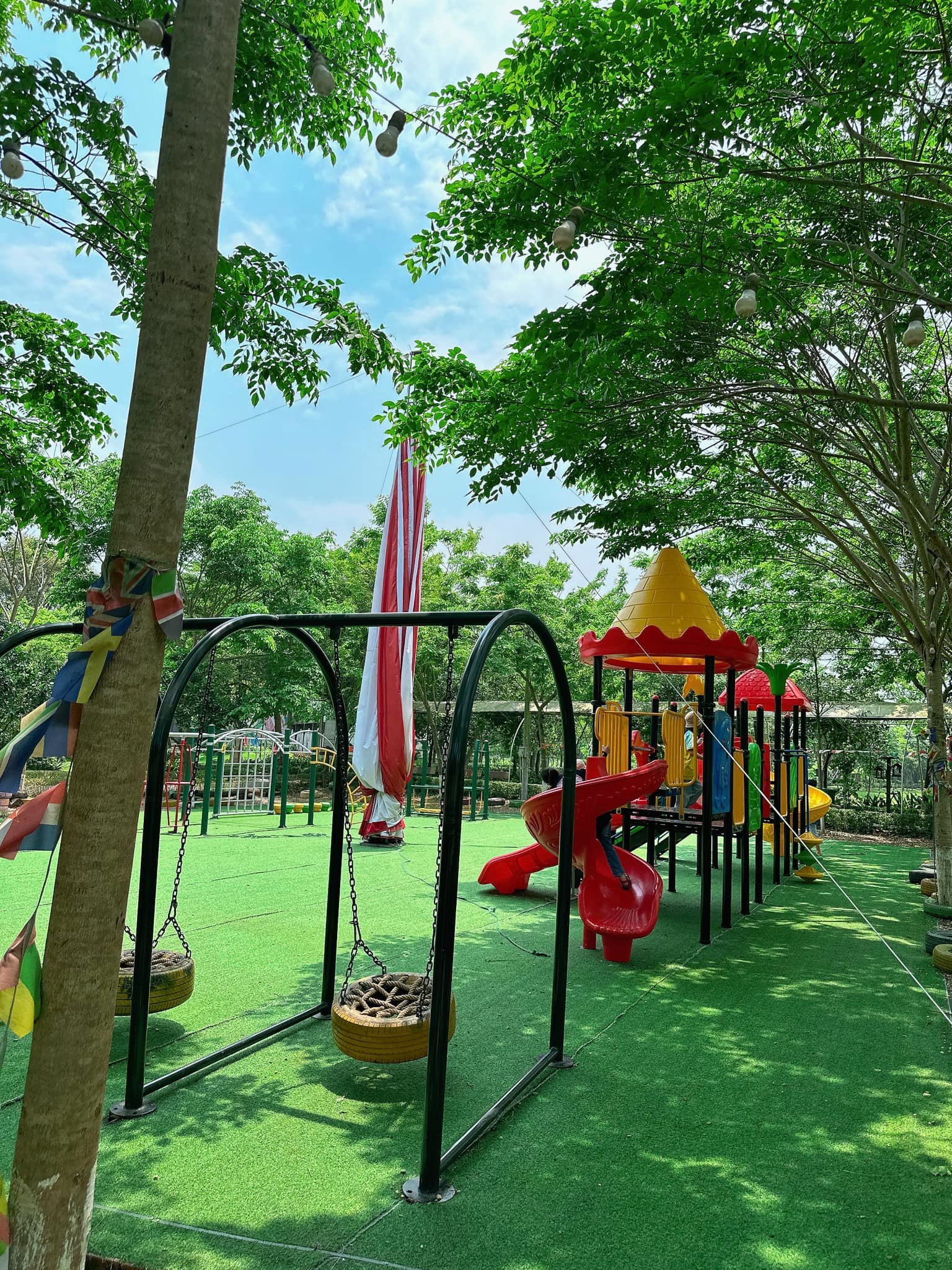 498248268 9912219485558436 8575638105555223103 n