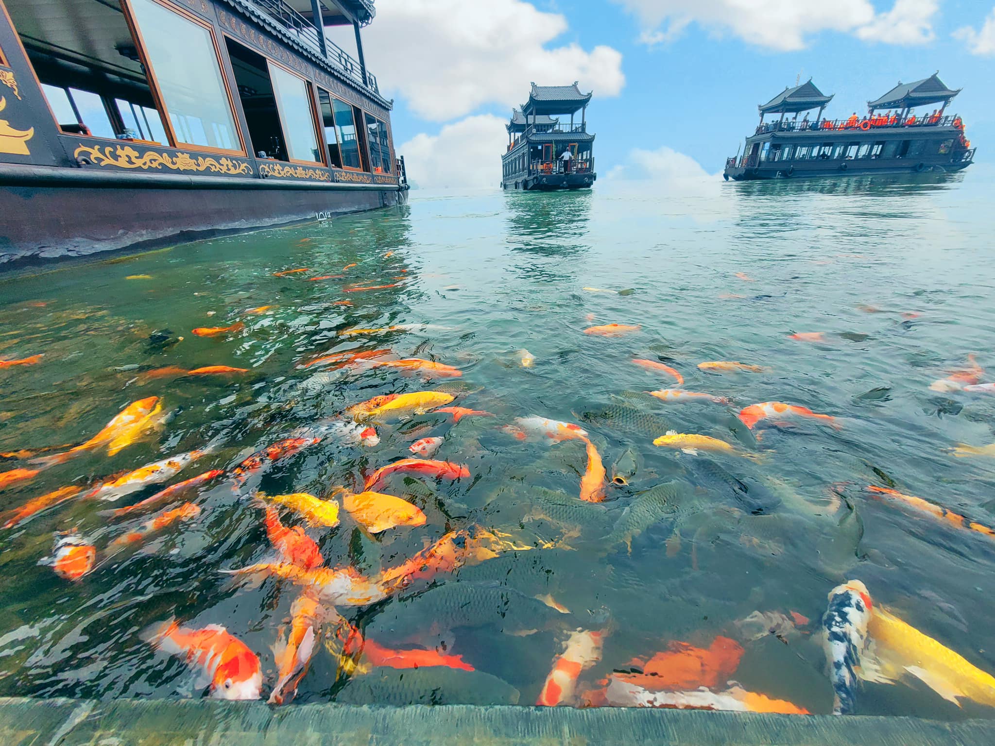 487239200 3793796770837469 1002050043709072347 n