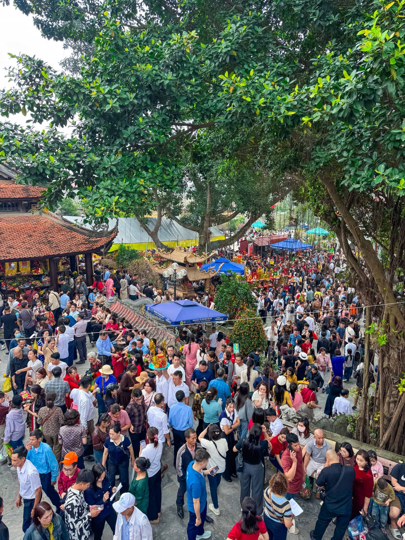 644744761 3510403039113980 7740441008542100224 n