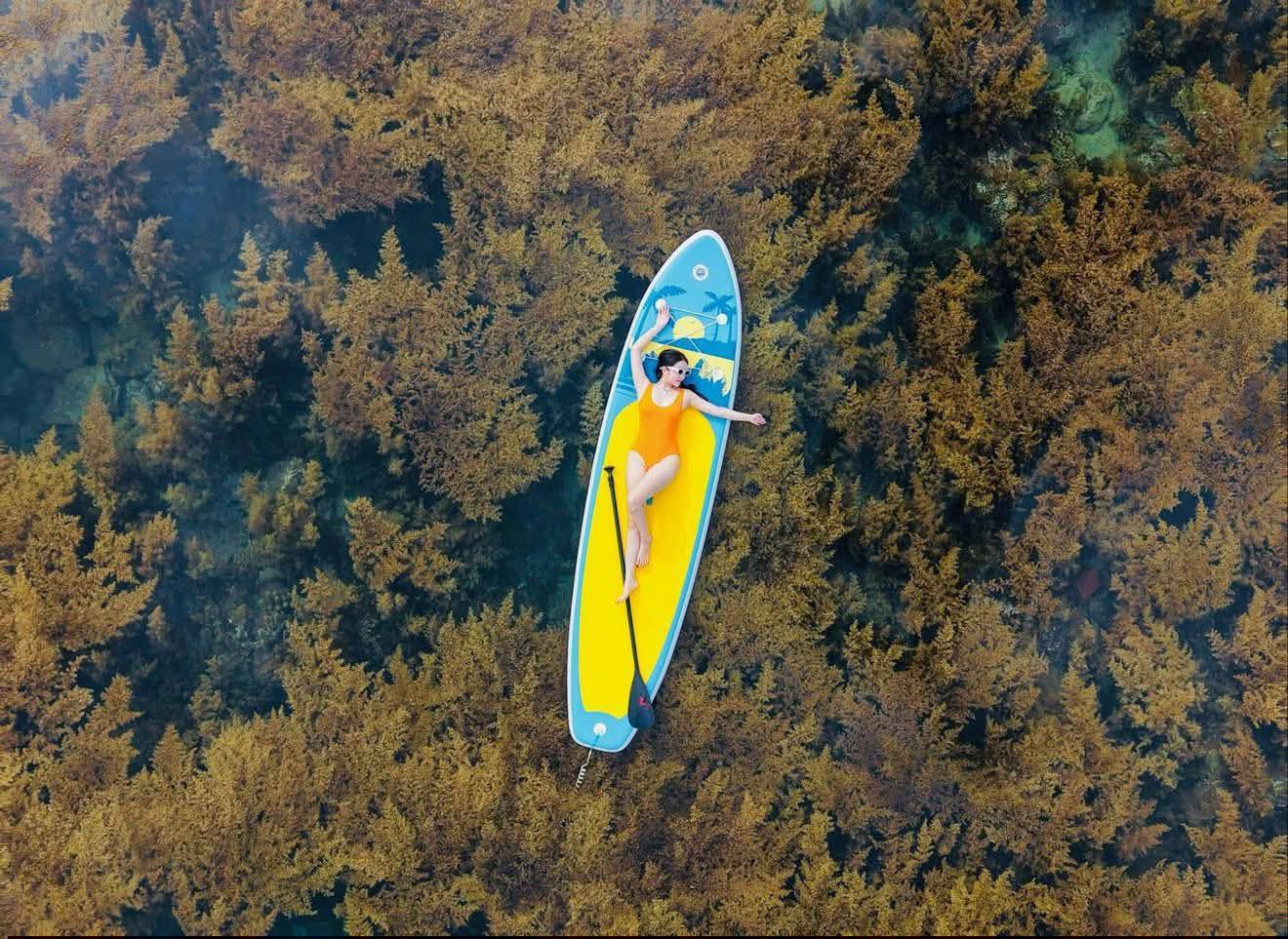 656604903 3759089344225833 8313305699189696125 n