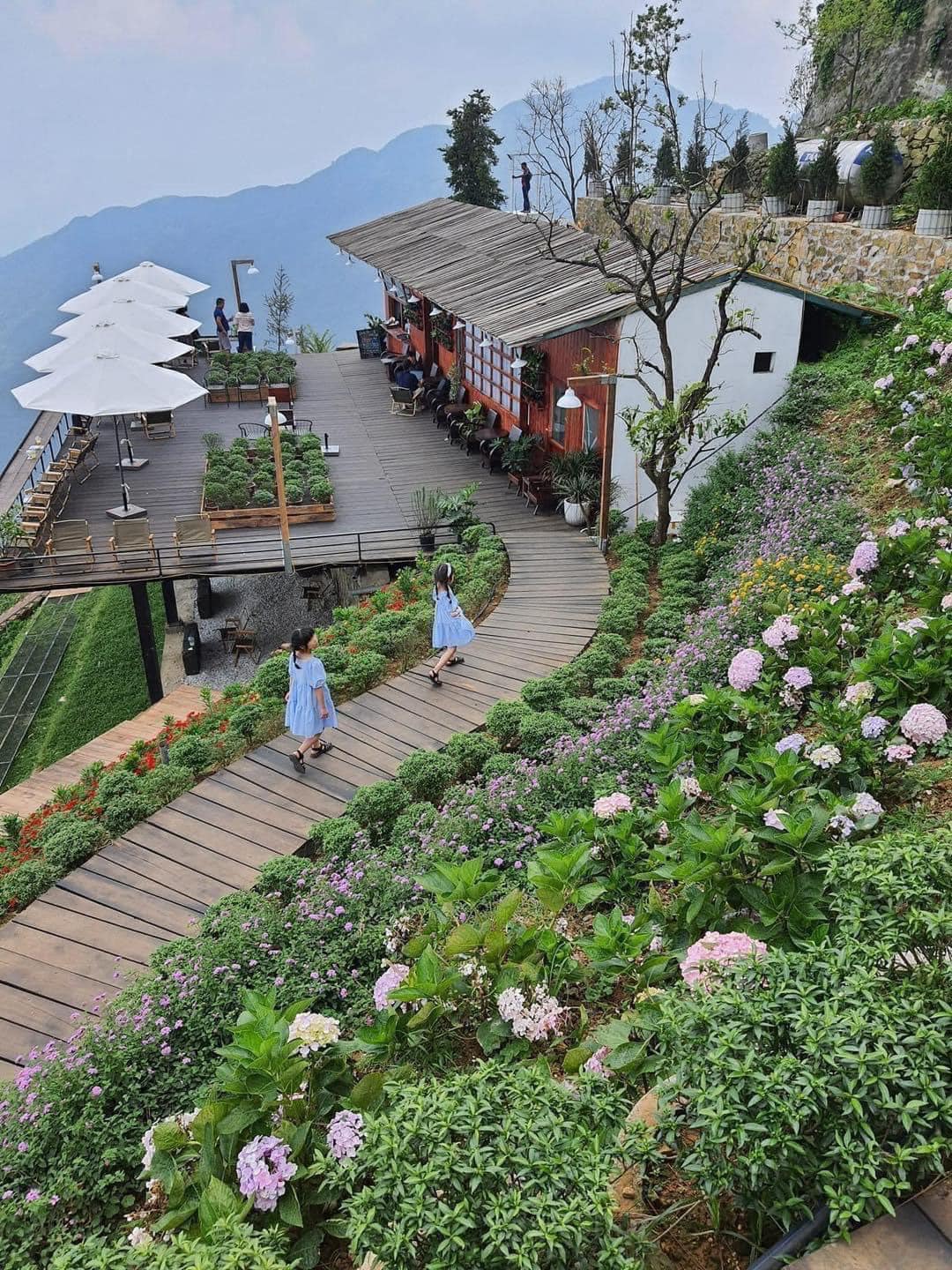 481103033 1865505490521352 4506787447192057351 n