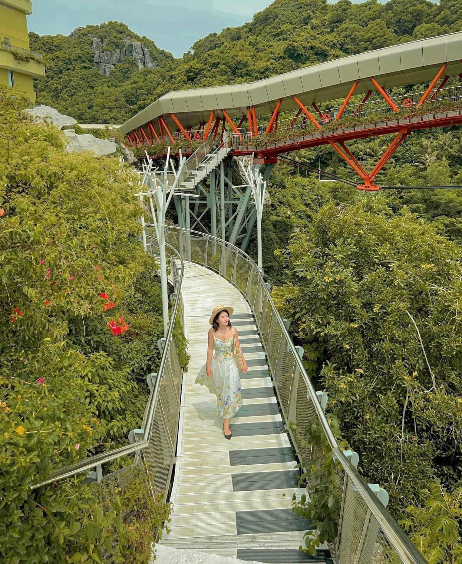 518305108 1205561558259109 3314148285987380719 n