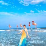 524709458 1434539907651603 2981090086653636361 n